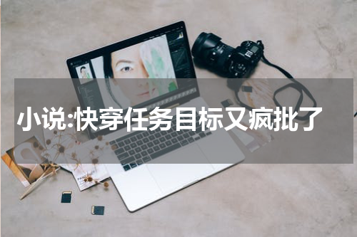 小说:快穿任务目标又疯批了