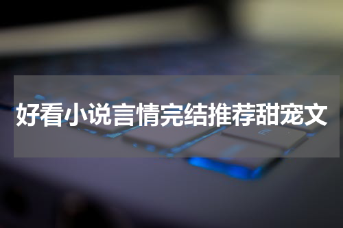 好看小说言情完结推荐甜宠文