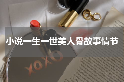 小说一生一世美人骨故事情节