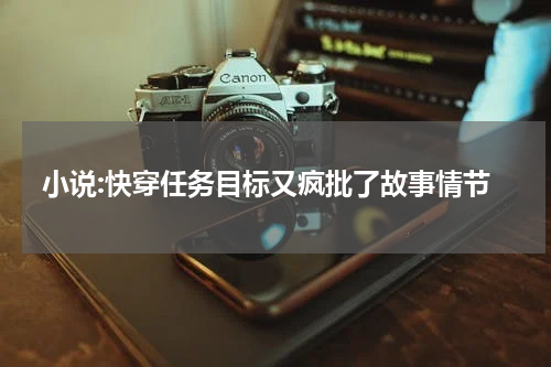 小说:快穿任务目标又疯批了故事情节