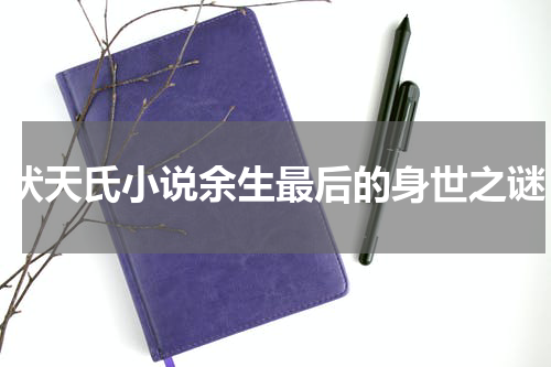 伏天氏小说余生最后的身世之谜