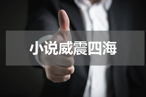 小说威震四海