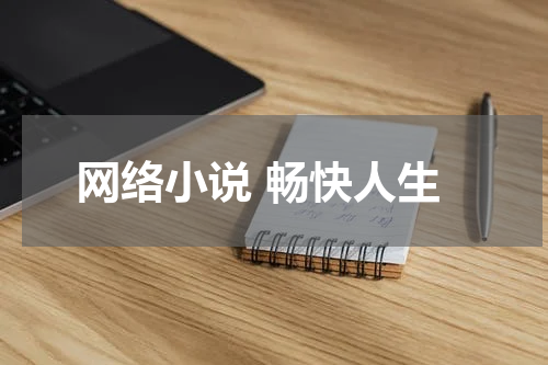网络小说 畅快人生