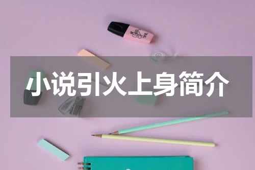 小说引火上身简介
