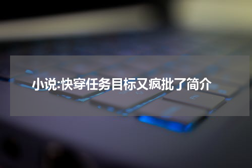 小说:快穿任务目标又疯批了简介