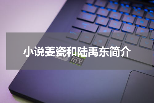 小说姜瓷和陆禹东简介