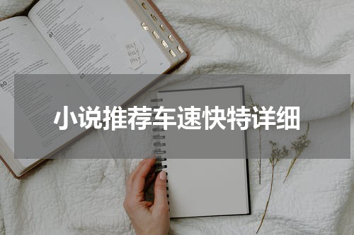 小说推荐车速快特详细