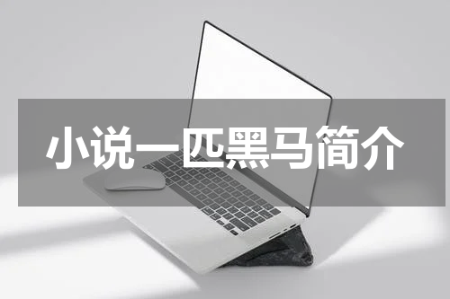 小说一匹黑马简介