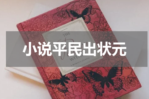 小说平民出状元