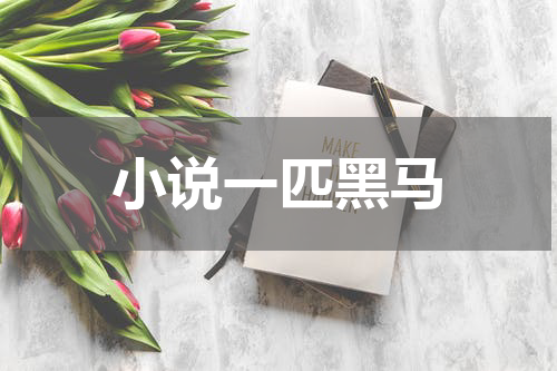 小说一匹黑马