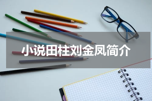 小说田柱刘金凤简介