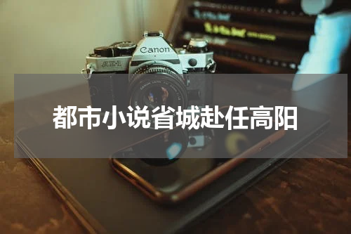都市小说省城赴任高阳