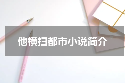 他横扫都市小说简介
