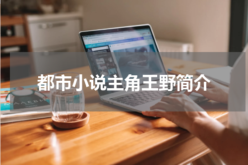 都市小说主角王野简介
