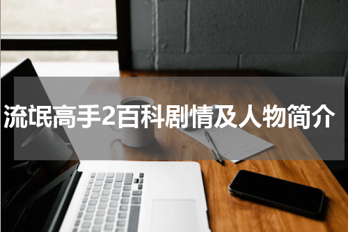 流氓高手2百科剧情及人物简介