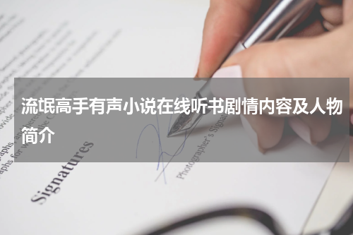 流氓高手有声小说在线听书剧情内容及人物简介