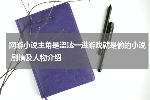 网游小说主角是盗贼一进游戏就是偷的小说 剧情及人物介绍