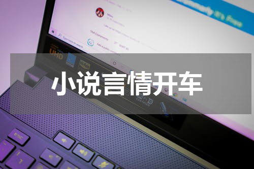 小说言情开车