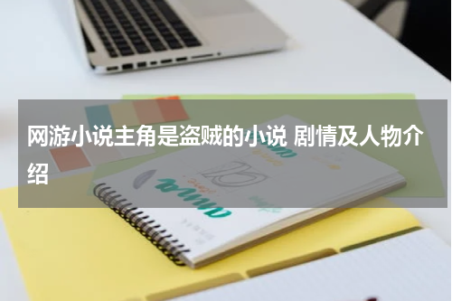 网游小说主角是盗贼的小说 剧情及人物介绍