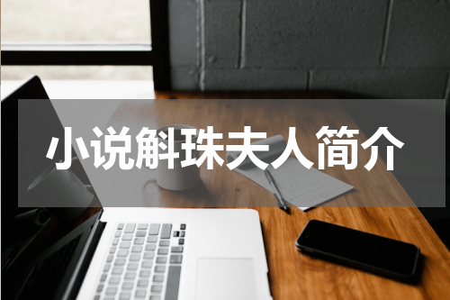 小说斛珠夫人简介