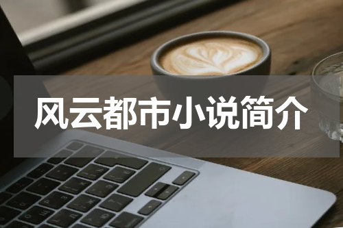 风云都市小说简介