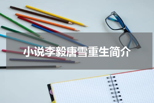 小说李毅唐雪重生简介