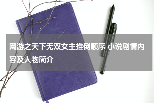 网游之天下无双女主推倒顺序 小说剧情内容及人物简介