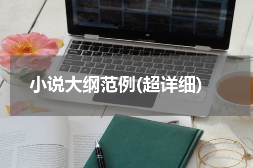 小说大纲范例(超详细)
