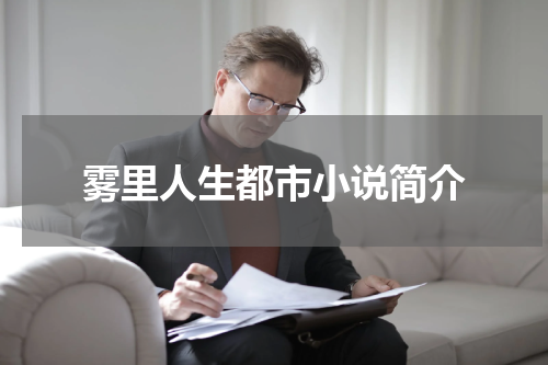 雾里人生都市小说简介
