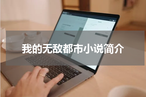 我的无敌都市小说简介