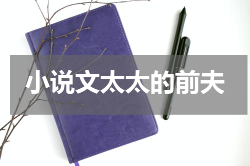 小说文太太的前夫