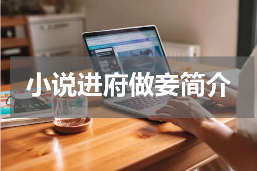 小说进府做妾简介