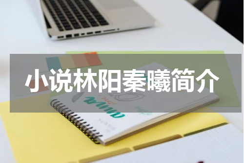 小说林阳秦曦简介