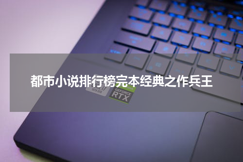 都市小说排行榜完本经典之作兵王