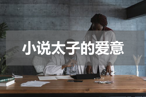 小说太子的爱意