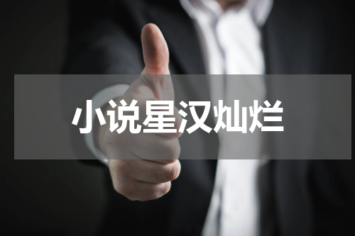小说星汉灿烂