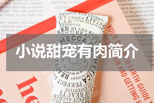 小说甜宠有肉简介