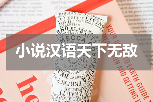 小说汉语天下无敌