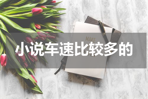 小说车速比较多的