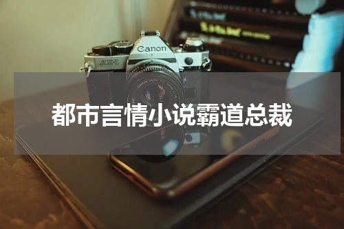 都市言情小说霸道总裁