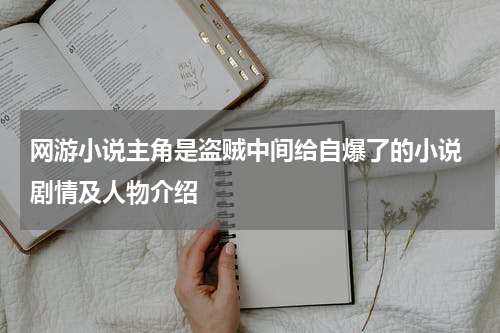 网游小说主角是盗贼中间给自爆了的小说 剧情及人物介绍