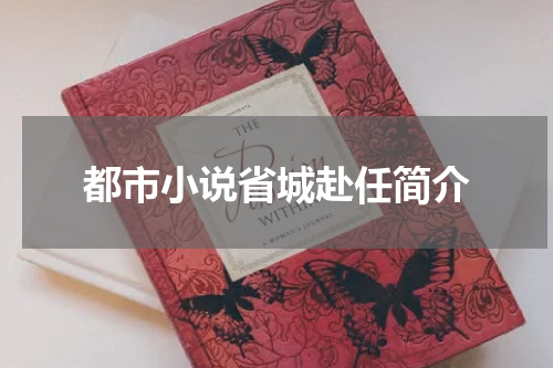 都市小说省城赴任简介