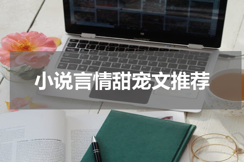 小说言情甜宠文推荐
