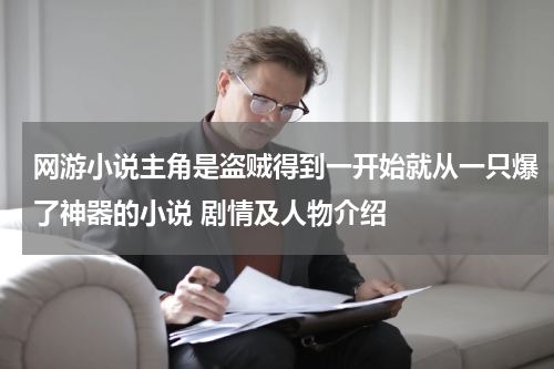 网游小说主角是盗贼得到一开始就从一只爆了神器的小说 剧情及人物介绍