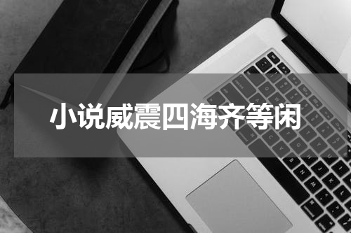 小说威震四海齐等闲