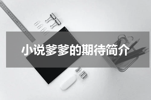 小说爹爹的期待简介