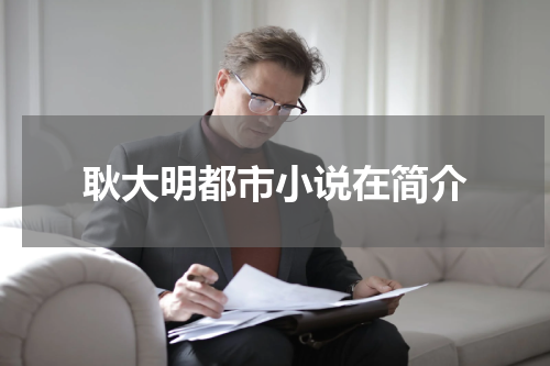 耿大明都市小说在简介