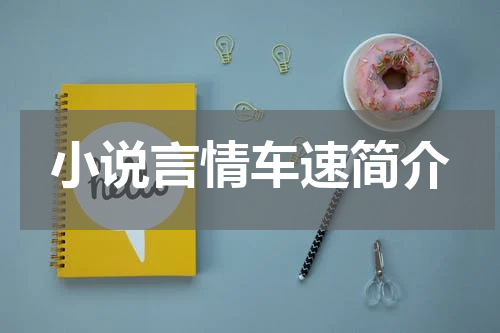 小说言情车速简介