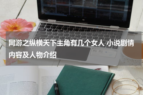 网游之纵横天下主角有几个女人 小说剧情内容及人物介绍