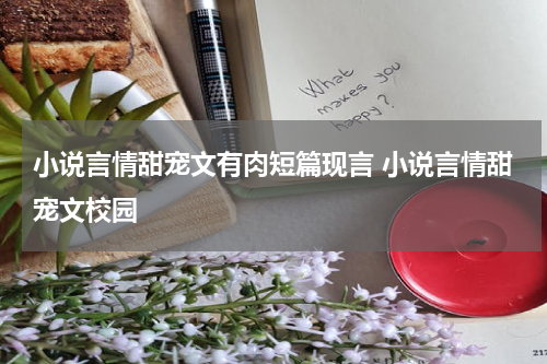 小说言情甜宠文有肉短篇现言 小说言情甜宠文校园